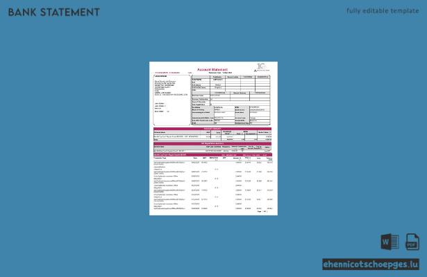 Kontoauszug des India Axis Mutual Fund (Word-Format, 3 Seiten), Beispielvorschau